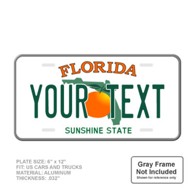 Florida Full Size 6" X 12" Personalized Novelty License Plate Thumbnail