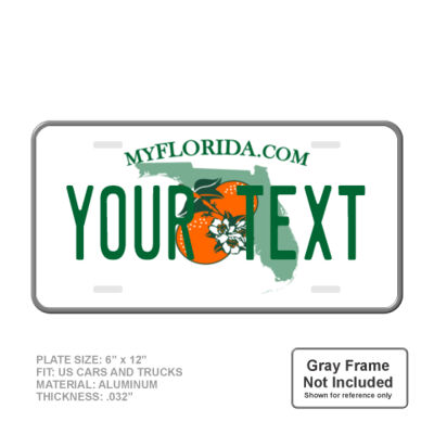 Florida Personalized Full Size 6" X 12" Personalized Novelty License Plate Thumbnail