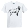 Youth Ultra Cotton ® 100% Cotton T Shirt Thumbnail