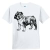 Youth Ultra Cotton ® 100% Cotton T Shirt Thumbnail