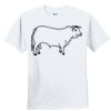 Youth Ultra Cotton ® 100% Cotton T Shirt Thumbnail