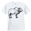 Youth Ultra Cotton ® 100% Cotton T Shirt Thumbnail