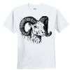 Youth Ultra Cotton ® 100% Cotton T Shirt Thumbnail
