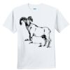 Youth Ultra Cotton ® 100% Cotton T Shirt Thumbnail