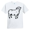 Youth Ultra Cotton ® 100% Cotton T Shirt Thumbnail