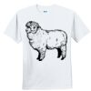 Youth Ultra Cotton ® 100% Cotton T Shirt Thumbnail