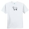 Youth Ultra Cotton ® 100% Cotton T Shirt Thumbnail