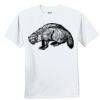 Youth Ultra Cotton ® 100% Cotton T Shirt Thumbnail