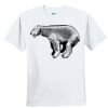 Youth Ultra Cotton ® 100% Cotton T Shirt Thumbnail
