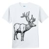 Youth Ultra Cotton ® 100% Cotton T Shirt Thumbnail