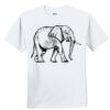 Youth Ultra Cotton ® 100% Cotton T Shirt Thumbnail