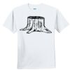 Youth Ultra Cotton ® 100% Cotton T Shirt Thumbnail
