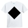 Youth Ultra Cotton ® 100% Cotton T Shirt Thumbnail