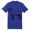Beefy T ® Born To Be Worn 100% Cotton T Shirt Thumbnail