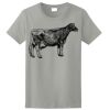 Ladies Ultra Cotton ® 100% Cotton T Shirt Thumbnail