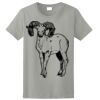 Ladies Ultra Cotton ® 100% Cotton T Shirt Thumbnail