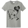 Ladies Ultra Cotton ® 100% Cotton T Shirt Thumbnail