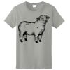 Ladies Ultra Cotton ® 100% Cotton T Shirt Thumbnail