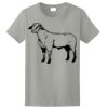 Ladies Ultra Cotton ® 100% Cotton T Shirt Thumbnail