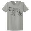Ladies Ultra Cotton ® 100% Cotton T Shirt Thumbnail