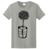 Ladies Ultra Cotton ® 100% Cotton T Shirt Thumbnail