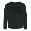 Ultra Cotton™ 100% Cotton Long Sleeve T Shirt Thumbnail