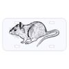 Personalized 3 X 6 Heavy Duty Acrylic / Plastic License Plate Thumbnail