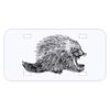 Personalized 3 X 6 Heavy Duty Acrylic / Plastic License Plate Thumbnail