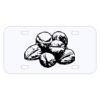 Personalized 3 X 6 Heavy Duty Acrylic / Plastic License Plate Thumbnail