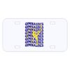 Personalized 3 X 6 Heavy Duty Plastic License Plate Thumbnail