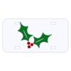 Personalized 3 X 6 Heavy Duty Acrylic / Plastic License Plate Thumbnail