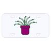 Personalized 3 X 6 Heavy Duty Acrylic / Plastic License Plate Thumbnail