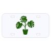 Personalized 3 X 6 Heavy Duty Acrylic / Plastic License Plate Thumbnail