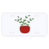 Personalized 3 X 6 Heavy Duty Acrylic / Plastic License Plate Thumbnail