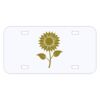 Personalized 3 X 6 Heavy Duty Acrylic / Plastic License Plate Thumbnail