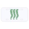 Personalized 3 X 6 Heavy Duty Acrylic / Plastic License Plate Thumbnail