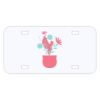 Personalized 3 X 6 Heavy Duty Acrylic / Plastic License Plate Thumbnail