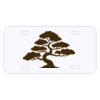 Personalized 3 X 6 Heavy Duty Acrylic / Plastic License Plate Thumbnail