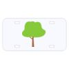 Personalized 3 X 6 Heavy Duty Acrylic / Plastic License Plate Thumbnail