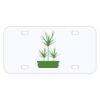 Personalized 3 X 6 Heavy Duty Acrylic / Plastic License Plate Thumbnail