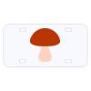 Personalized 3 X 6 Heavy Duty Acrylic / Plastic License Plate Thumbnail