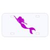 Personalized 3 X 6 Heavy Duty Acrylic / Plastic License Plate Thumbnail