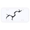 Personalized 3 X 6 Heavy Duty Acrylic / Plastic License Plate Thumbnail