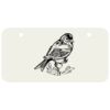 3 X 6 Aluminum License Plate Thumbnail
