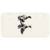 3 X 6 Aluminum License Plate Thumbnail