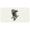 3 X 6 Aluminum License Plate Thumbnail