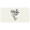3 X 6 Aluminum License Plate Thumbnail