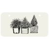 3 X 6 Aluminum License Plate Thumbnail