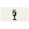 3 X 6 Aluminum License Plate Thumbnail