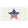 3 X 6 Aluminum License Plate Thumbnail